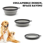 COLLAPSIBLE Dog Cat Bowls 2 Pack Travel Dog Bowls Portable Pet Water Bowl Dog Cat Food Feeder Walking Hiking Camping Bowl for Small Medium Large Dogs (Small, Cool Gray & Light Pink)