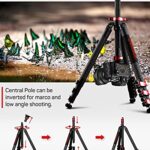 IFOOTAGE Carbon Fiber Travel Tripod, 59″ Professional Video Camera Tripods 4 Sections with Centre Pole,Compatible with Canon, Nikon, Sony DSLR Camcorder Video Photography, Max Load 13.2 lbs, TC5S