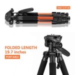 2022 New Travel Camera Tripod, Lightweight Aluminum Video Tripod for DSLR SLR Canon Nikon Sony Olympus DV 55 inch with Carry Bag -11 Lbs(5Kg) Load (Orange)