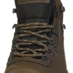 Columbia womens Newton Ridge Plus Waterproof Hiking Boot, Cordovan/Crown Jewel, 11 US