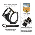 Kurgo Tru-Fit Enhanced Strength Dog Harness – Crash Tested Car Safety Harness for Dogs, No Pull Dog Harness, Includes Pet Safety Seat Belt, Steel Nesting Buckles (Deep Violet, Large)