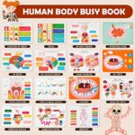 Freebear Montessori Busy Book for Kids, Human Body Anatomy Book for Toddlers, Preshool Kindergarten Learning Activities, Autism Sensory Toys, Travel Toys, Gifts for Girls and Boys 4 5 6 7 8 Years