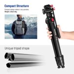 NEEWER 63″/160cm Travel Tripod, Portable Aluminum Video Tripod with Pan Tilt Fluid Head Compatible with Panasonic Sony Canon JVC Mini DV Camcorder, DSLR Camera, Max Load 17.6lb/8kg, TP22