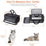 Cat Carrier Travel Pet Carrier,Soft-Sided Pet Travel Carrier for Large and Medium Cats & Dogs Black (Model D)