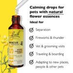 Bach RESCUE REMEDY PET Dropper 20mL, Natural Stress Relief, Calming for Dogs, Cats, & Other Pets, Homeopathic Flower Essence, Thunder, Fireworks & Travel, Separation, Sedative-Free