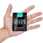 DUDE Wipes – On-The-Go Flushable Wipes – 1 Pack, 30 Wipes – Mint Chill Extra-Large Individually Wrapped Adult Wet Wipes – Eucalyptus & Tea Tree Oil – Septic and Sewer Safe