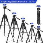 Aureday 74’’ Camera Tripod with Travel Bag,Cell Phone Tripod with Wireless Remote and Phone Holder, Compatible with DSLR Cameras,Cell Phones,Projector,Webcam,Spotting Scopes(Black)