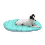 Furhaven Outdoor Travel Dog Bed for Small Dogs w/ Carry Bag, Washable & Foldable, Great for Crates & Kennels – Trail Pup Travel Pillow Mat w/ Stuff Sack Bag – Aqua/Granite Gray, Small
