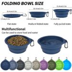 Ptlom 2 Pack Collapsible Pet Travel Bowls for Dogs and Cats, Portable Dog Feeding Bowl for Food and Water, Puppy Slow Feeder Dish for Walking Camping with 2 Carabiners, Silicone, Green 650ml