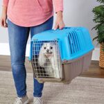 MidWest Homes for Pets Spree Travel Pet Carrier, Dog Carrier Features Easy Assembly and Not The Tedious Nut & Bolt Assembly of Competitors, Blue, 24-Inch Small Dog Breeds (1424SPB)