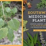 Southwest Medicinal Plants: Identify, Harvest, and Use 112 Wild Herbs for Health and Wellness (Medicinal Plants Series)