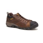 Cat Footwear Men’s Argon CT, Dark Brown, 9